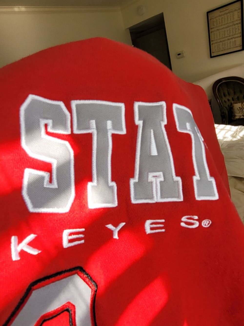 Ohio State Buckeyes Crewneck Sweatshirt Red XL Cotton blnd Embroidered Colosseum - Picture 2 of 7